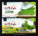 丝瓜