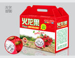 火龙果包装平面图图片