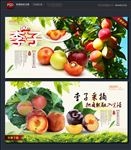 李子