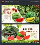西瓜