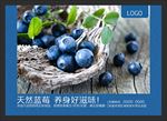 蓝莓水果