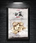 水墨中国风中医药材白芨宣传海报
