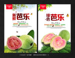 芭乐