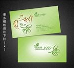 茶叶名片