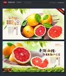 血橙
