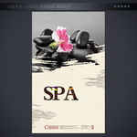 SPA海报