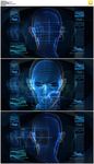 循环科技3D旋转人头