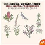 手绘植物花草矢量图