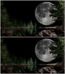 静夜满月