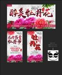 牡丹花