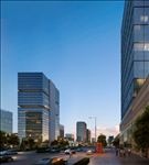 繁华都市夜景商业街建筑效果图