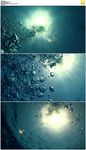 海洋潜水气泡阳光
