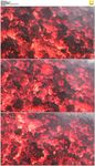 红色火山岩浆