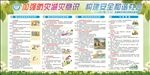 2017年 防灾减灾展板