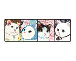 四只萌猫