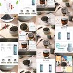 360详情蒲公英茶叶设计描述
