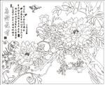 鸟语花香
