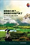 高尔夫地产广告 别墅地产广告