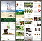 茶详情页