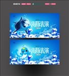 海豚表演