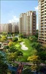 高尔夫休闲景观图