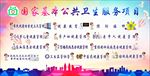 国家基本公共卫生服务