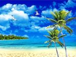 海滩椰子树风景