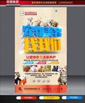 宠物美容