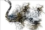 梦幻水珠烟雾天鹅电视背景墙