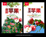 苹果