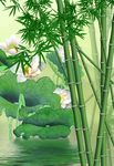 3d荷花竹子