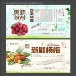 杨梅