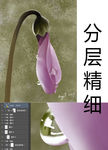 露珠
