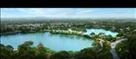 农村湖面景观图