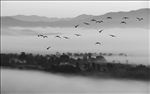 水墨山水画