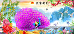花开富贵流水生财