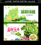 绿植
