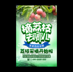 荔枝
