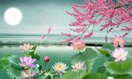 中式荷花背景墙