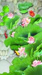 荷花玄关