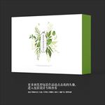 绿色现代商业高档礼盒包装设计