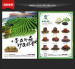 茶叶宣传单