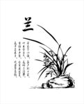 兰