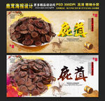 鹿茸