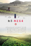 茶叶 高山茶
