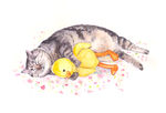 猫