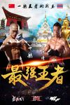 武林风 一龙