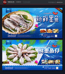 墨鱼