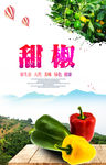 甜椒
