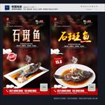 石斑鱼